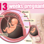 ba bau mang thai tuan thu 13 150x150 - 5 dấu hiệu mang song thai mà bà bầu cần biết