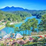 kinh nghiem du lich da lat mua he 4 150x150 - Top 13 cách làm gỏi gà chuẩn vị dễ làm tại nhà, nhìn là thèm ngay