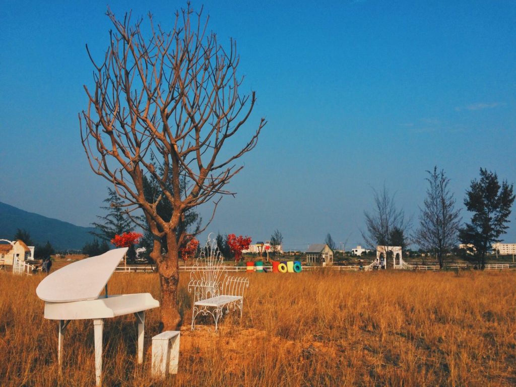 Top 10 địa điểm chụp ảnh đẹp nhất ở Đà Nẵng Thuan Phuoc Field Dia diem chup anh dep nhat o Da Nang 1024x768 - Top 10 địa điểm chụp ảnh đẹp nhất ở Đà Nẵng