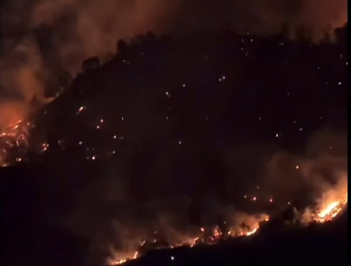 Cháy rừng ở Nghệ An, lực lượng chức năng xuyên đêm dập lửa